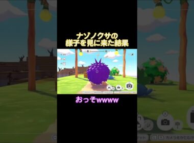 ナゾノクサの様子を見に来た結果…