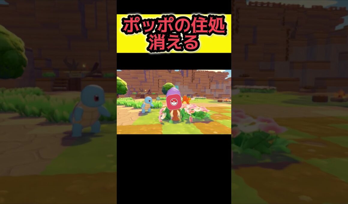 ポッポとお友達になる【ぽこ あ ポケモン】#ぽこあポケモン #ぽこポケ #pokemon #ポケモン