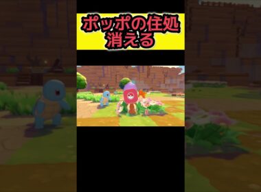 ポッポとお友達になる【ぽこ あ ポケモン】#ぽこあポケモン #ぽこポケ #pokemon #ポケモン
