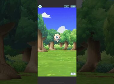 ウォロ＆トゲピー　バディーズわざ演出