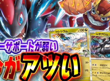 【ポケカ/対戦】中打点環境で火をふくNのゾロアークex‼️ドローできるデッキはいつの時代も強い（ムニキスゼロ環境）