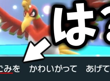 【許さない】ホウオウを「ごみ」扱いした伝説キッズ成敗します【ポケモンSV】