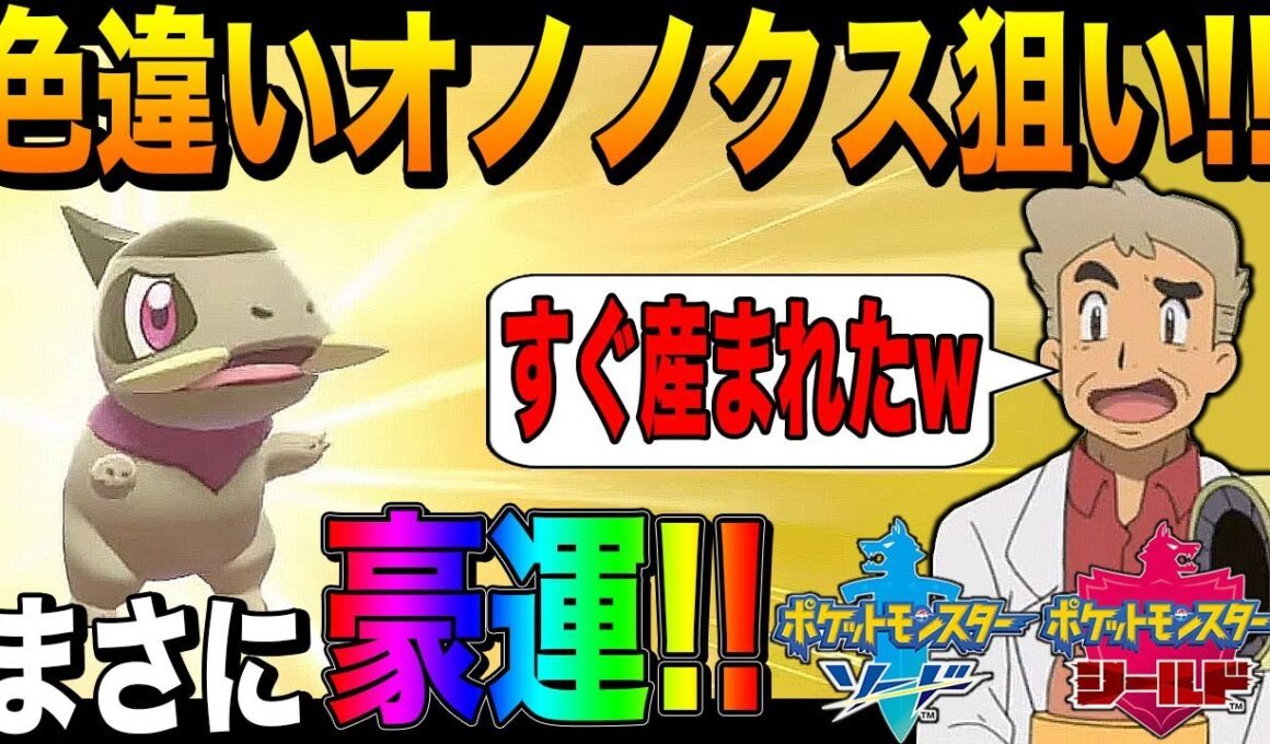 【ポケモン剣盾】口の悪いオーキド博士がオノノクスの色違いを目指して国際孵化するぞ#1【柊みゅう】