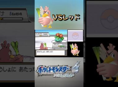 【HGSS】色違いカモネギ1匹でもレッドに勝てます　#shorts  #色違い  ＃ポケモン