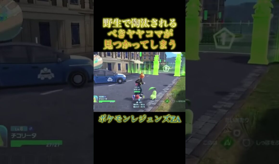 野生で淘汰されるべきヤヤコマが見つかってしまうwwww #ポケモン #ポケモンza #淘汰