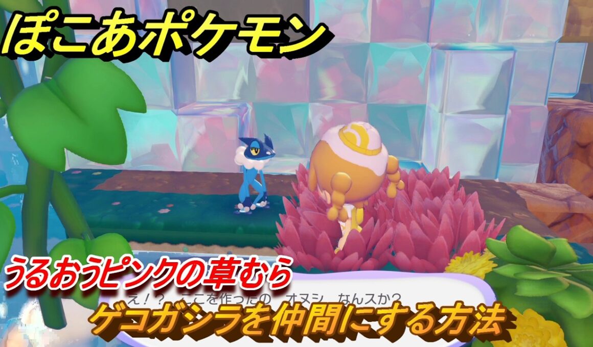 ぽこあポケモン　ゲコガシラを仲間にする方法　うるおうピンクの草むら　＃２０２　【ぽこポケ】