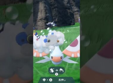 アメモース Masquerain【ポケモンsv】