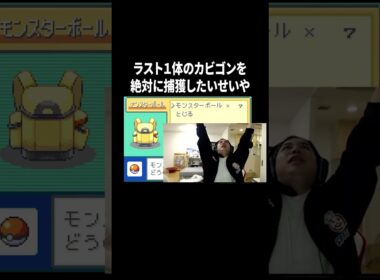 【ポケットモンスター ファイアレッド】ラスト１体のカビゴンを絶対に捕獲したいせいや#イニミニ切り抜き