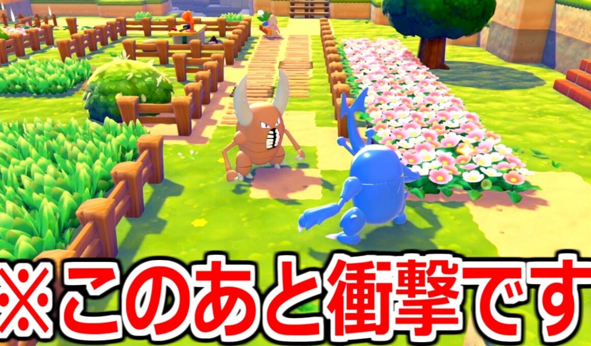 カイロスとヘラクロスを同じ家に住ませた結果ｗｗｗｗｗｗｗ。【ぽこ あポケモン】実況プレイ #9