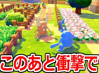 カイロスとヘラクロスを同じ家に住ませた結果ｗｗｗｗｗｗｗ。【ぽこ あポケモン】実況プレイ #9