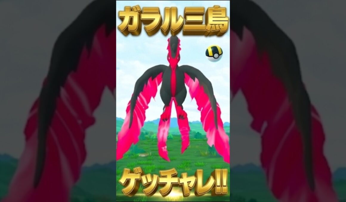 ガラルファイヤーさん対戦よろしくお願いします。【ポケモンGO】【ガラル三鳥】