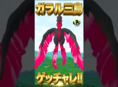 ガラルファイヤーさん対戦よろしくお願いします。【ポケモンGO】【ガラル三鳥】