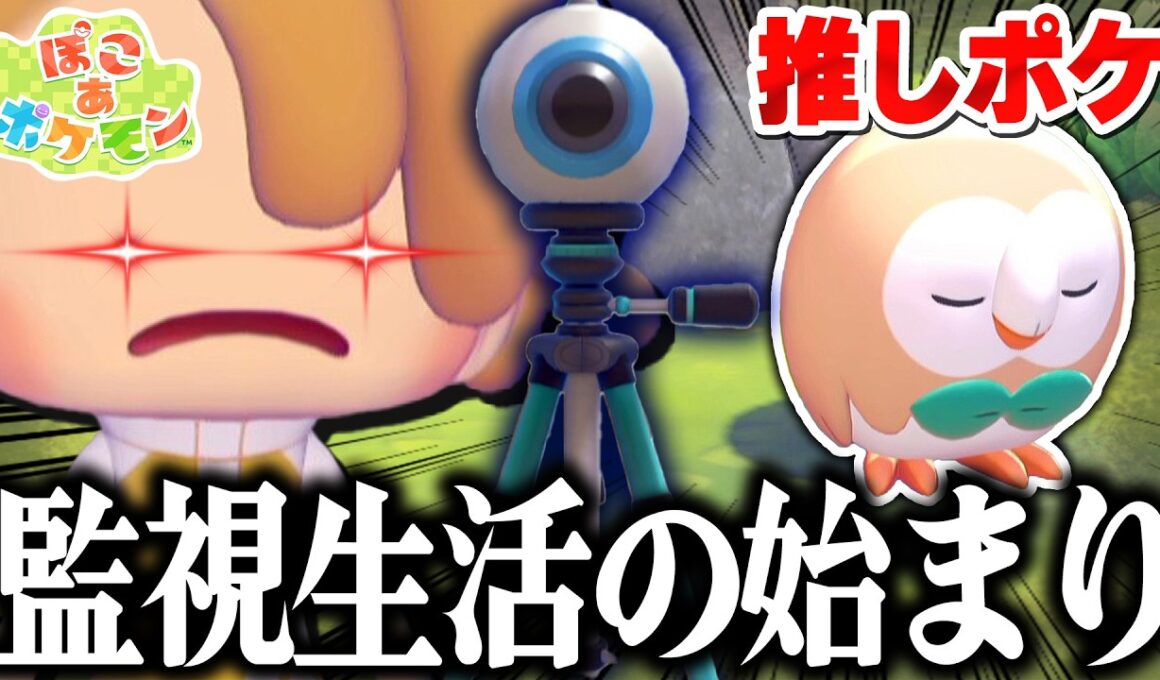 【ぽこポケ】推しポケ監禁！ついにモクローの捕まえ方を見つけたぞ…【ぽこあポケモン】Pokémon Pokopia