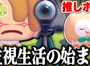 【ぽこポケ】推しポケ監禁！ついにモクローの捕まえ方を見つけたぞ…【ぽこあポケモン】Pokémon Pokopia