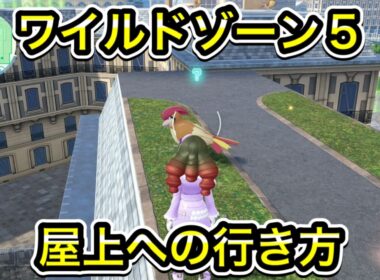 ワイルドゾーン5の屋上への行き方！ラクライとピジョンの場所まで案内します！