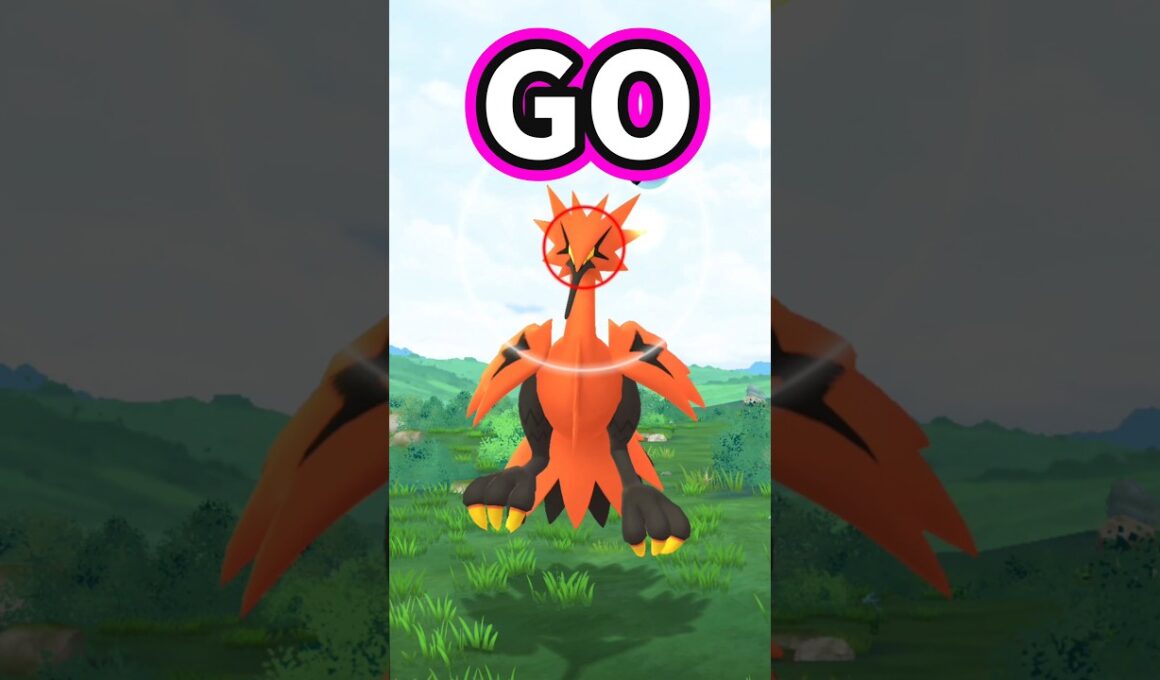 ガラルサンダーさん対戦よろしくお願いします。【ポケモンGO】【ガラル三鳥】