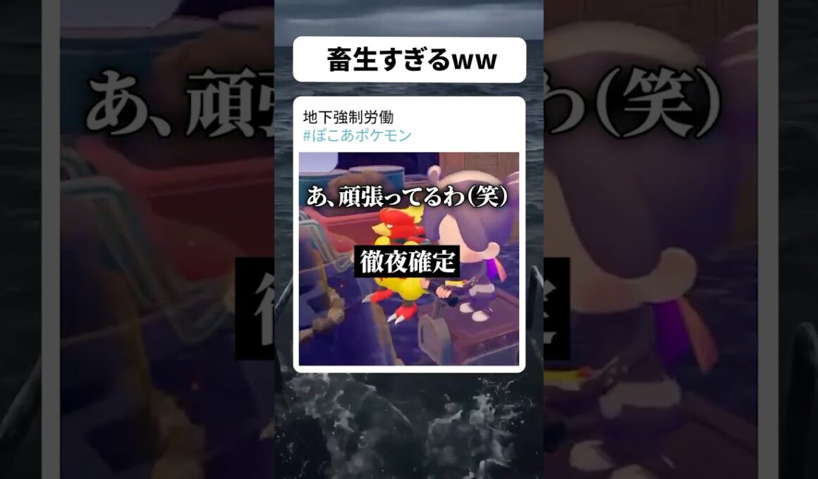 ブーバーに地下労働を強いる実況者　【 #ぽこあポケモン 】