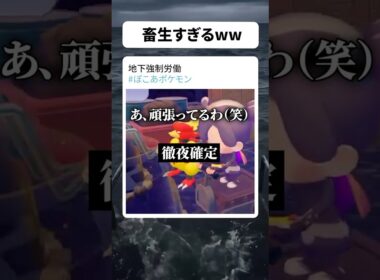 ブーバーに地下労働を強いる実況者　【 #ぽこあポケモン 】