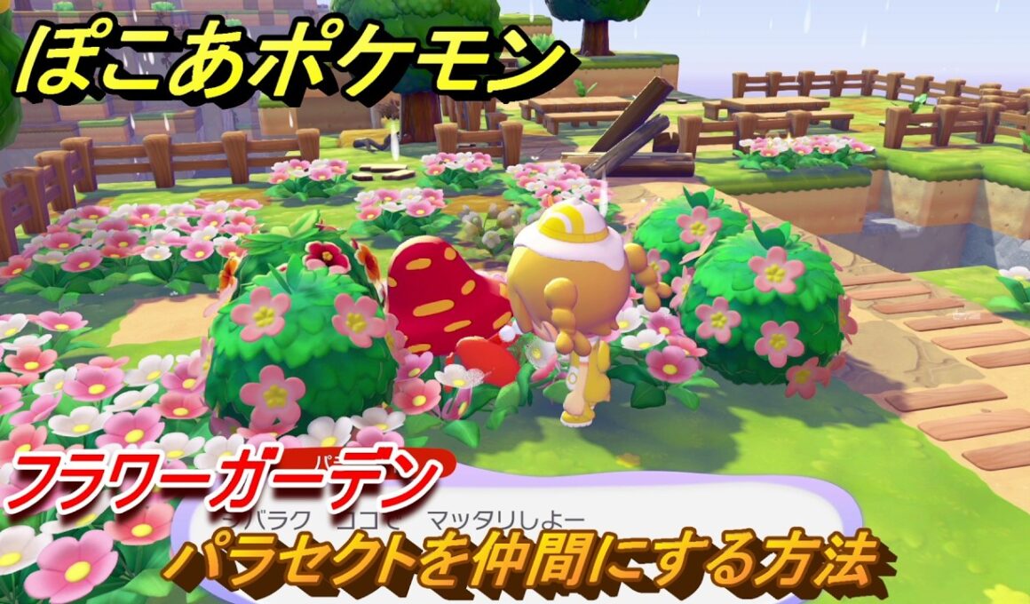 ぽこあポケモン　パラセクトを仲間にする方法　フラワーガーデン　＃７４　【ぽこポケ】
