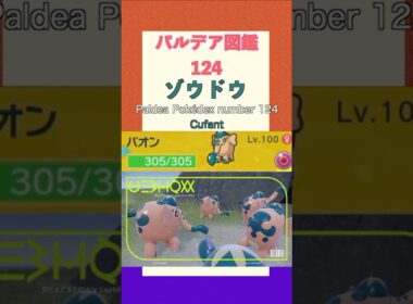 ポケモンSV パルデア図鑑124　ゾウドウ　レベル100 #shorts