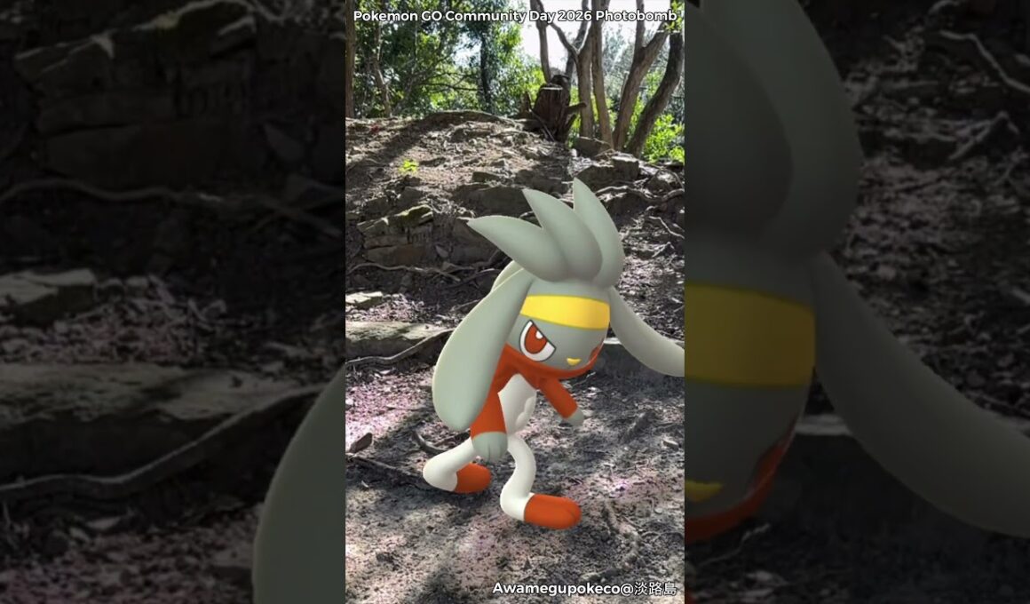 ヒバニー｜Scorbunny｜ラビフット｜Raboot｜エースバーン｜Cinderace｜ShinyPokémon【ポケモンGO】PoKeMoN GO AR｜AR動画｜