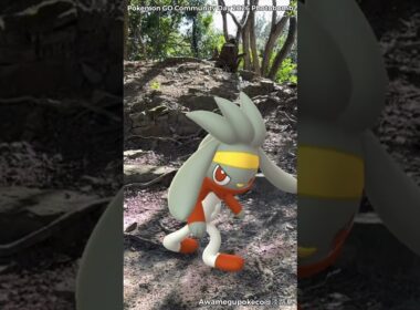 ヒバニー｜Scorbunny｜ラビフット｜Raboot｜エースバーン｜Cinderace｜ShinyPokémon【ポケモンGO】PoKeMoN GO AR｜AR動画｜