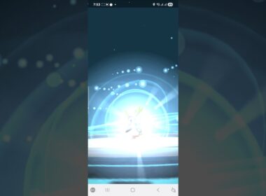 【ポケモンGO】ハリマロン進化