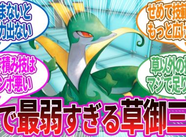 ストーリーだけならぶっちゃけジャローダ使いづらいよね…に対する反応集【ポケモン反応】
