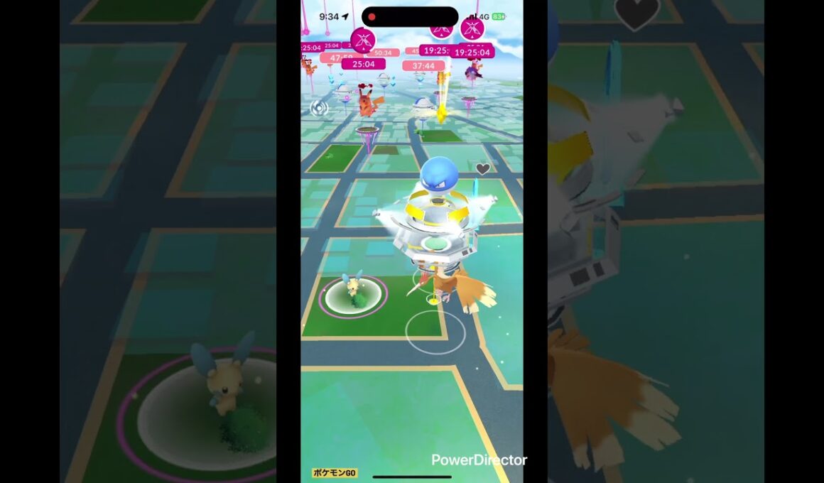 小マイナン #pokemon #pokemongo #ポケgo #ポケモン #ポケモンgo