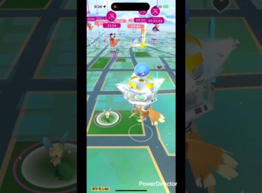 小マイナン #pokemon #pokemongo #ポケgo #ポケモン #ポケモンgo