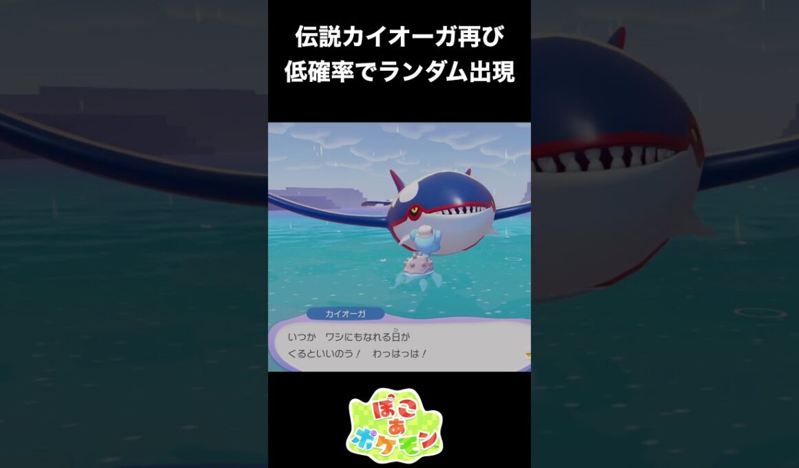 【ぽこあポケモン】伝説カイオーガ再び！低確率でランダム出現！ #ポケモン　 #shorts