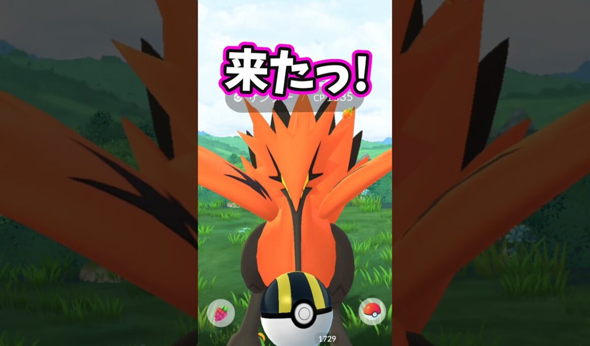 ガラルサンダーさん対戦よろしくお願いします。【ポケモンGO】【ガラル三鳥】