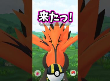 ガラルサンダーさん対戦よろしくお願いします。【ポケモンGO】【ガラル三鳥】