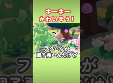 ホーホーのすみかなくなっちゃった！【ぽこあポケモン】#shorts　#ぽこポケ