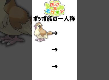 ぽこあポケモンのポッポ族の一人称 #ポケモン