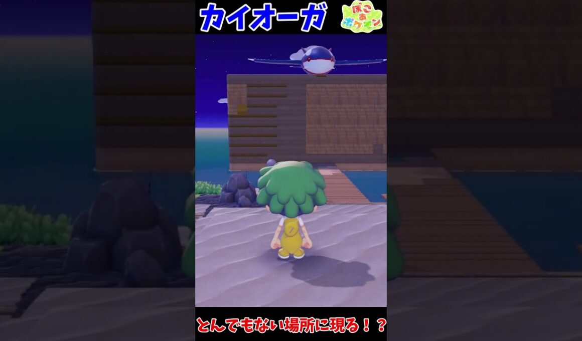 カイオーガさん、ついに空を飛ぶ【ぽこあポケモン】