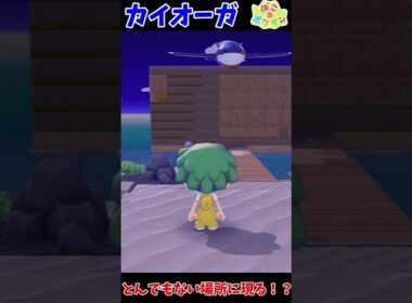 カイオーガさん、ついに空を飛ぶ【ぽこあポケモン】