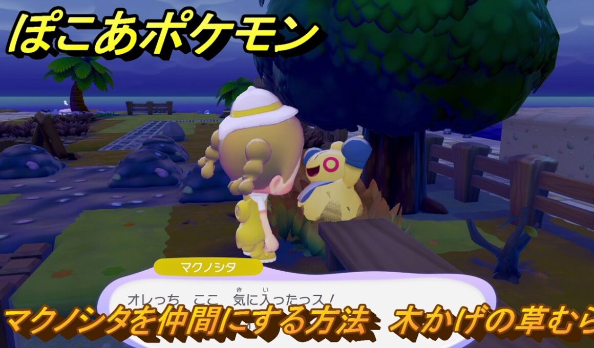 ぽこあポケモン　マクノシタを仲間にする方法　木かげの草むら　＃６３　【ぽこポケ】