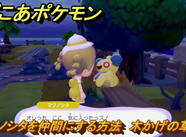 ぽこあポケモン　マクノシタを仲間にする方法　木かげの草むら　＃６３　【ぽこポケ】