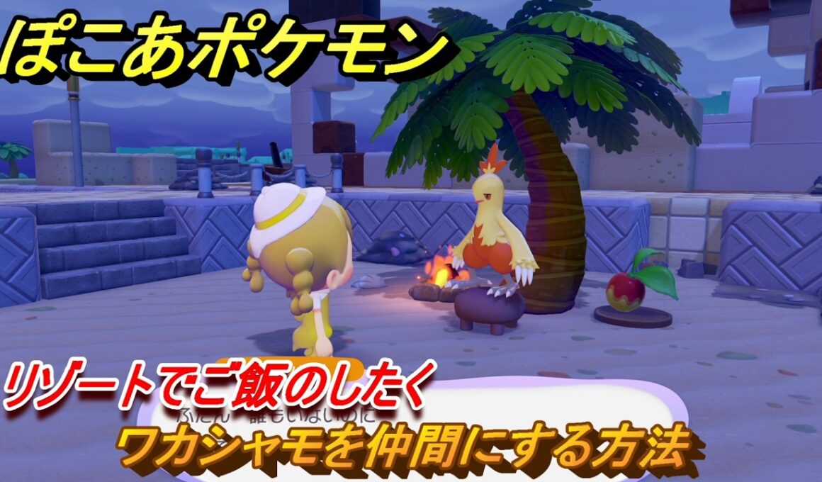 ぽこあポケモン　ワカシャモを仲間にする方法　リゾートでご飯のしたく　＃７８　【ぽこポケ】