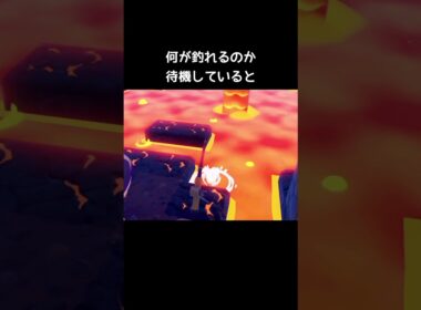 マグマに釣り竿を設置すると【ぽこあポケモン】#ウインディ