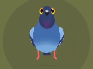 Pigeon Pop - Pigeon Dance (all moves)