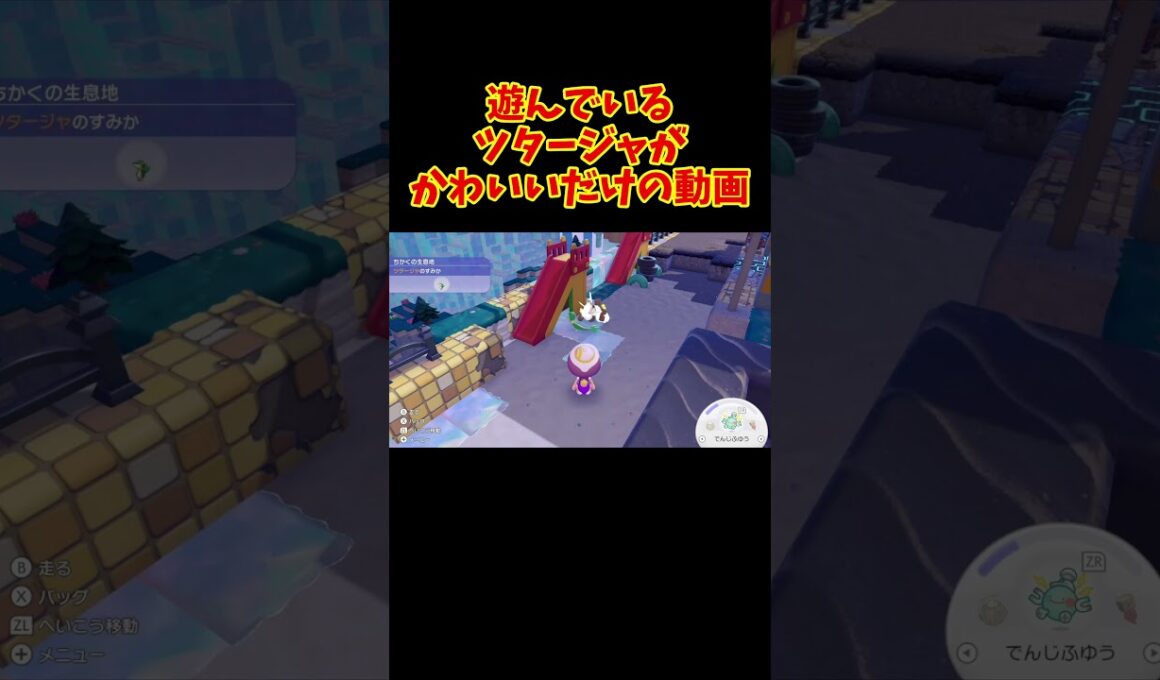 遊ぶツタージャ