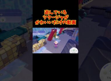 遊ぶツタージャ