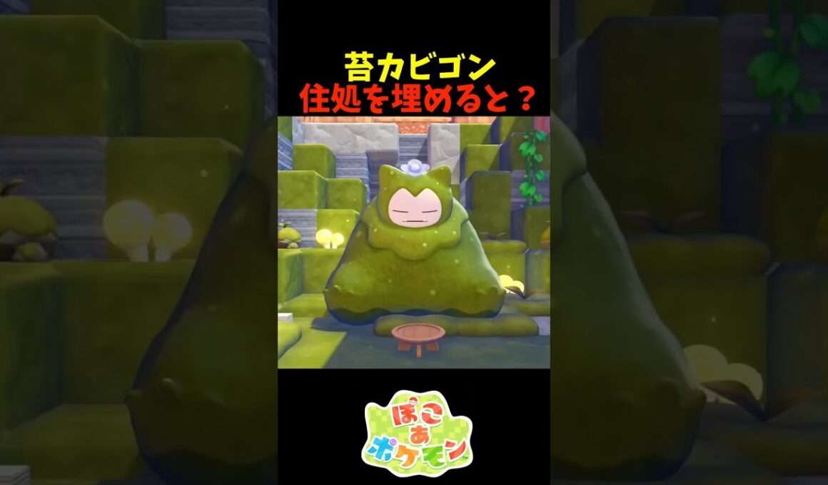 【ぽこあポケモン】苔カビゴンの住処を埋めて日付を変えると？