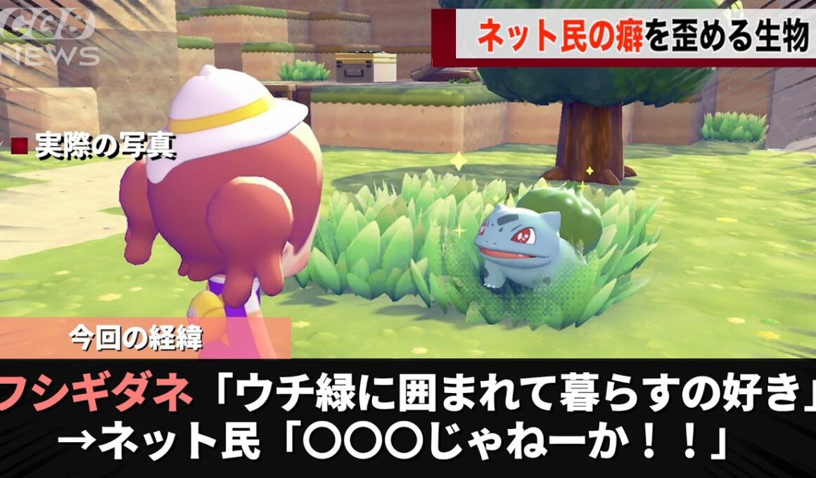 ポケモンの新作のフシギダネ、あまりにも〇〇〇っぽいということが話題になるwwww