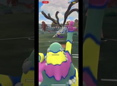 #たいせん #たいせんカイリューベトベターマッシブーン#ぽけもんgo