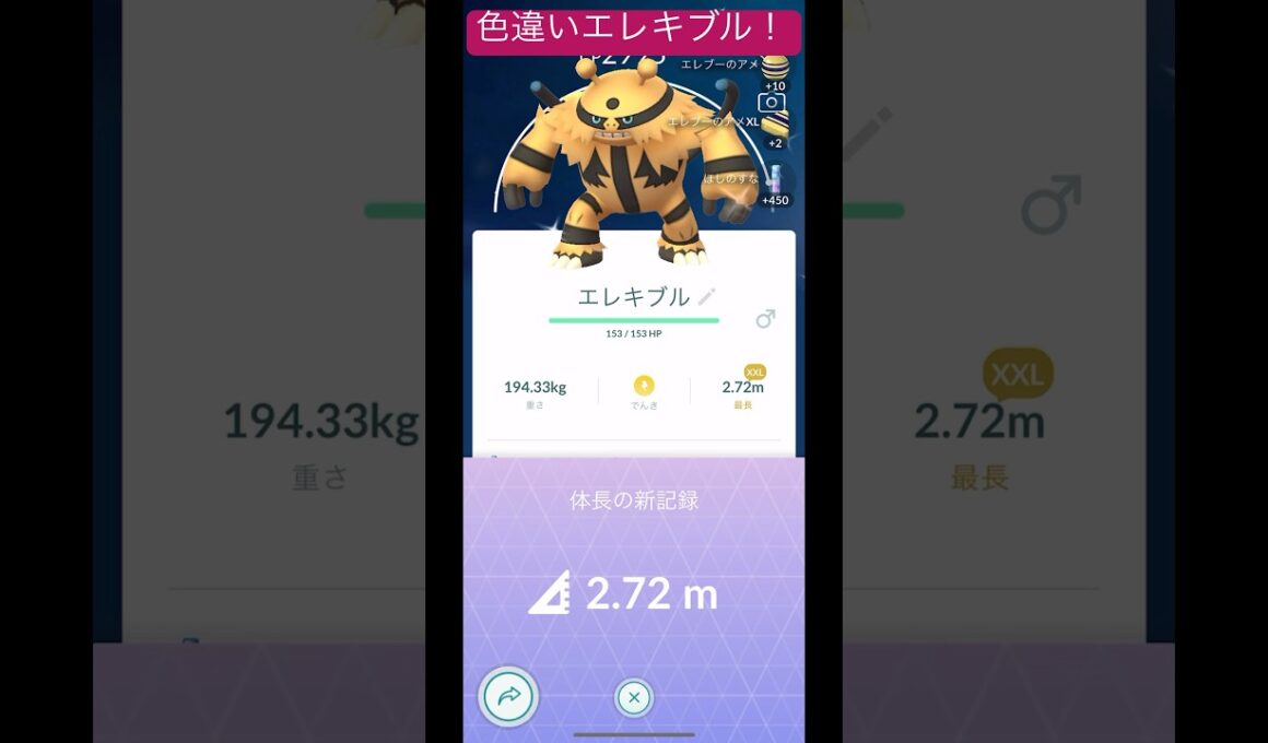個体値はなかなかかなー！色違いエレキブルを捕獲！#ポケモンgo #ポケモン #pokemon #pokemongo #shorts #short