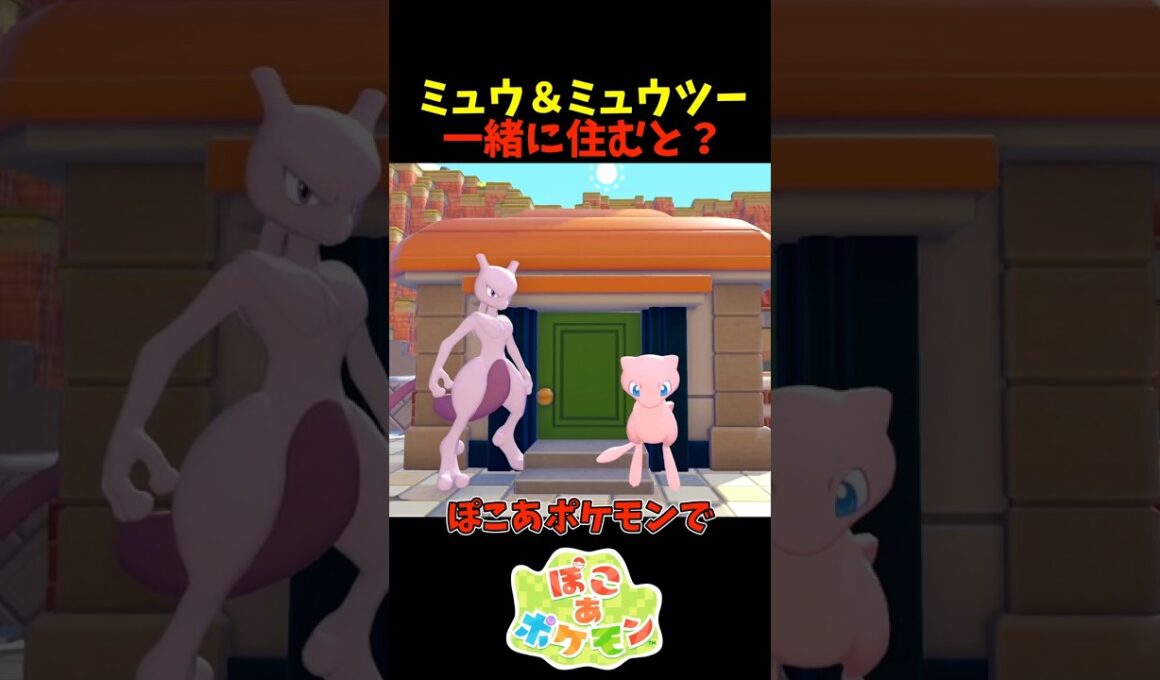 【ぽこあポケモン】ミュウとミュウツーが同じ家に住むと？