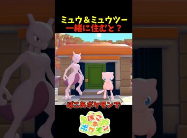 【ぽこあポケモン】ミュウとミュウツーが同じ家に住むと？